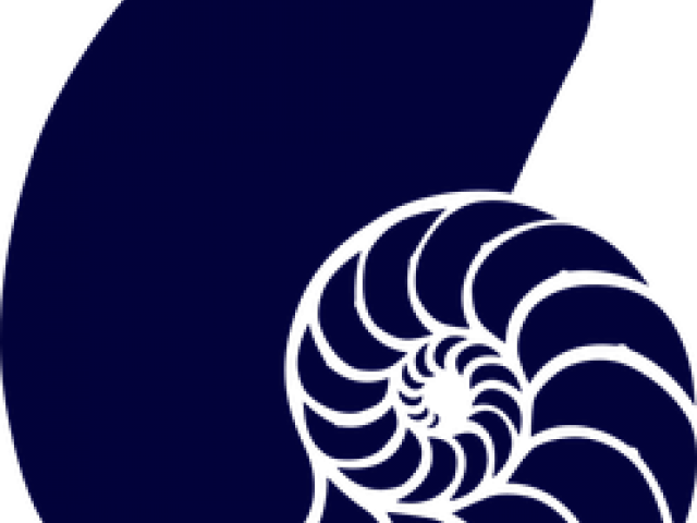 Pearl Clipart Blue Shell (640x480), Png Download