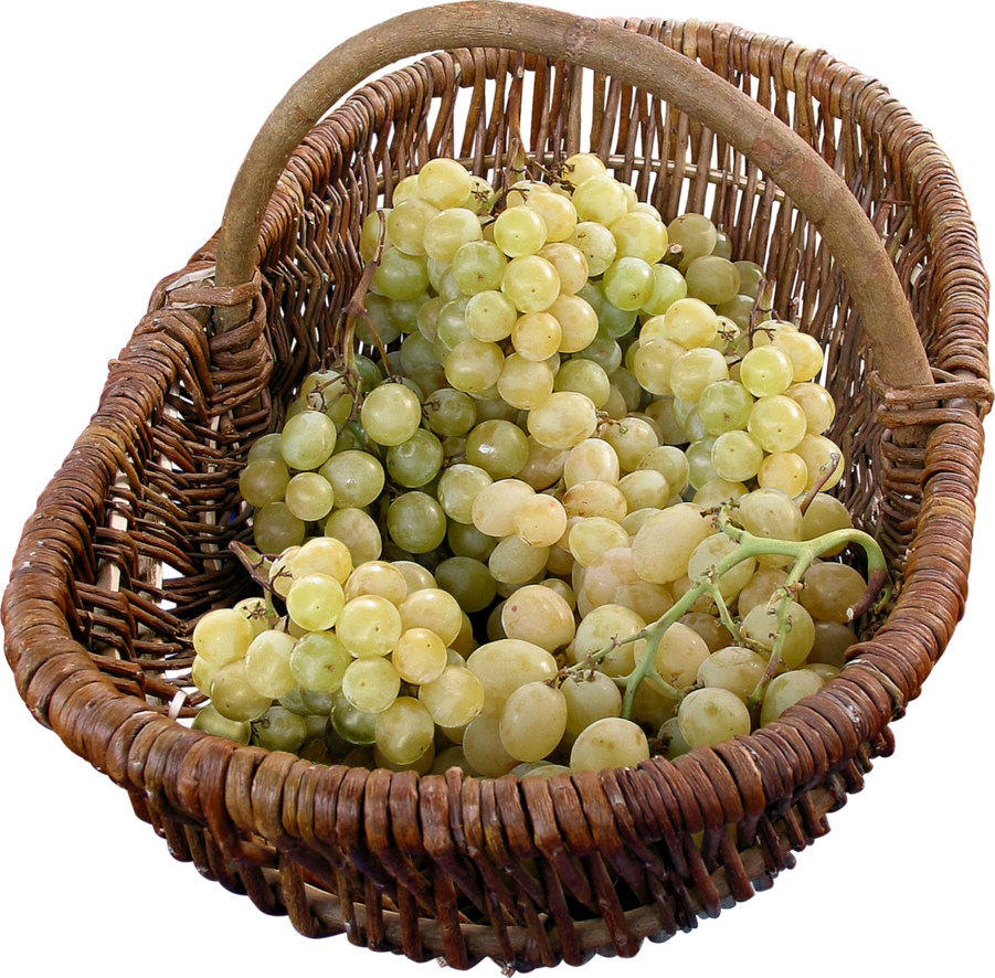 Uvas Png - Cestas De Uvas Png (901x886), Png Download