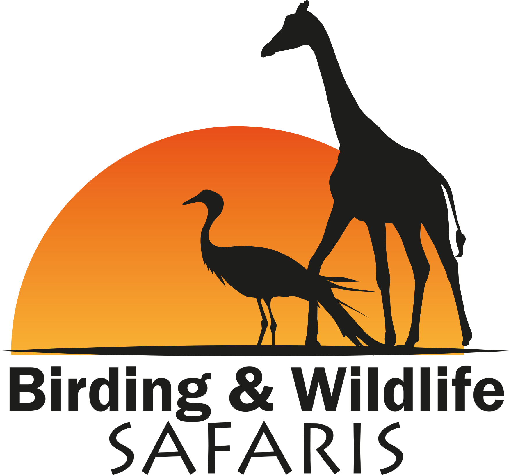 Birding And Wildlife Safaris - Hillshire Brands (2119x1761), Png Download
