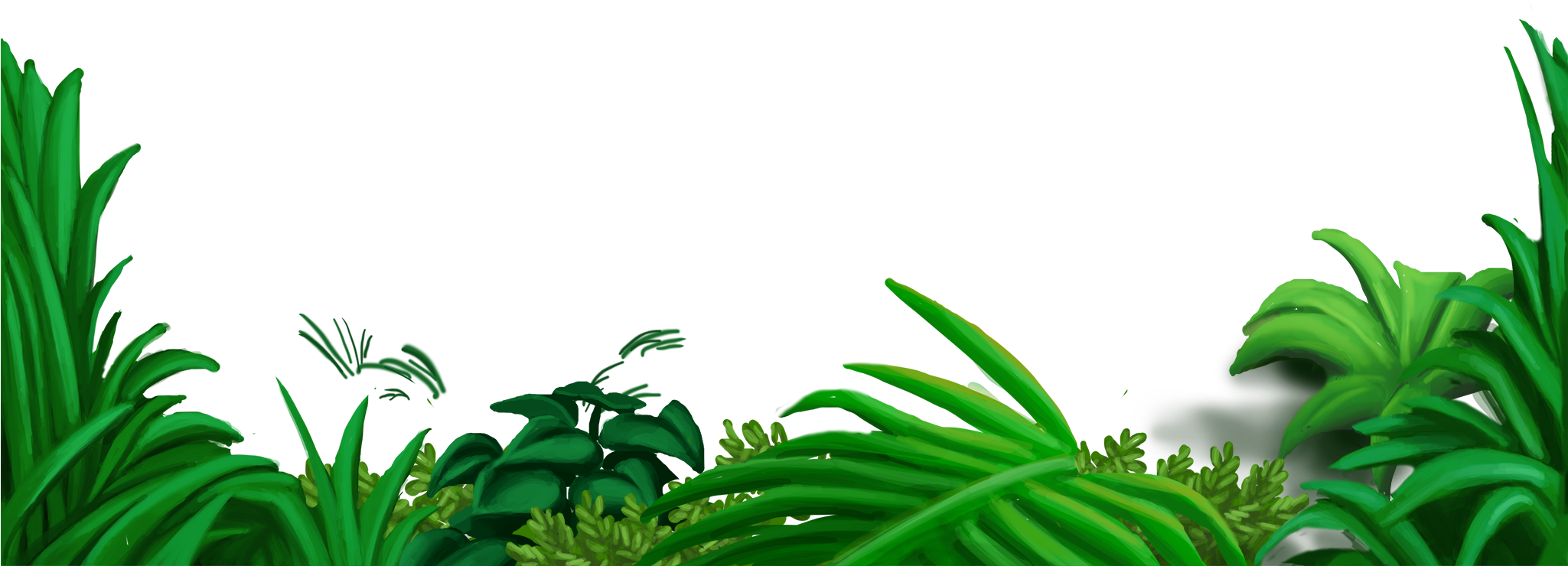 Flower Overlays Png - Jungle Overlay (2048x1212), Png Download