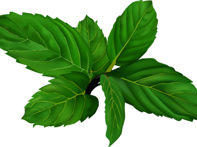 Spices And Herbs Clipart (640x480), Png Download