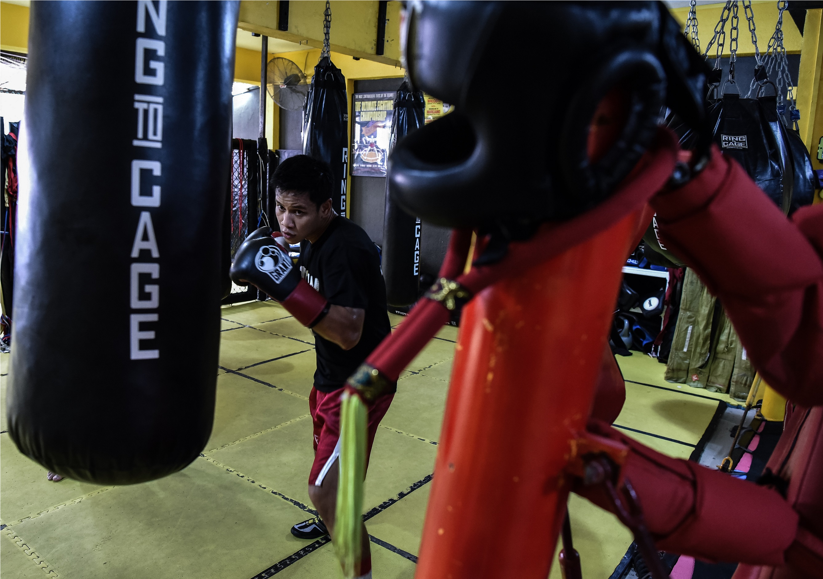 Boxing Belt Png (3352x1886), Png Download