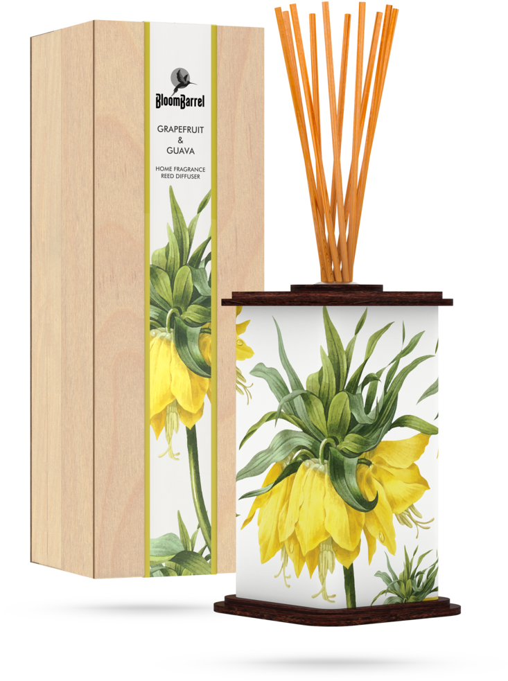 Bloombarrel Home Fragrance Reed Diffuser Grapefruit - Diffuser Water Lily (1000x1000), Png Download