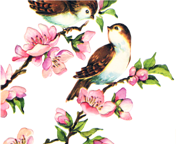 Love Birds Clipart Pretty Bird - Free Vintage Bird Png (640x480), Png Download
