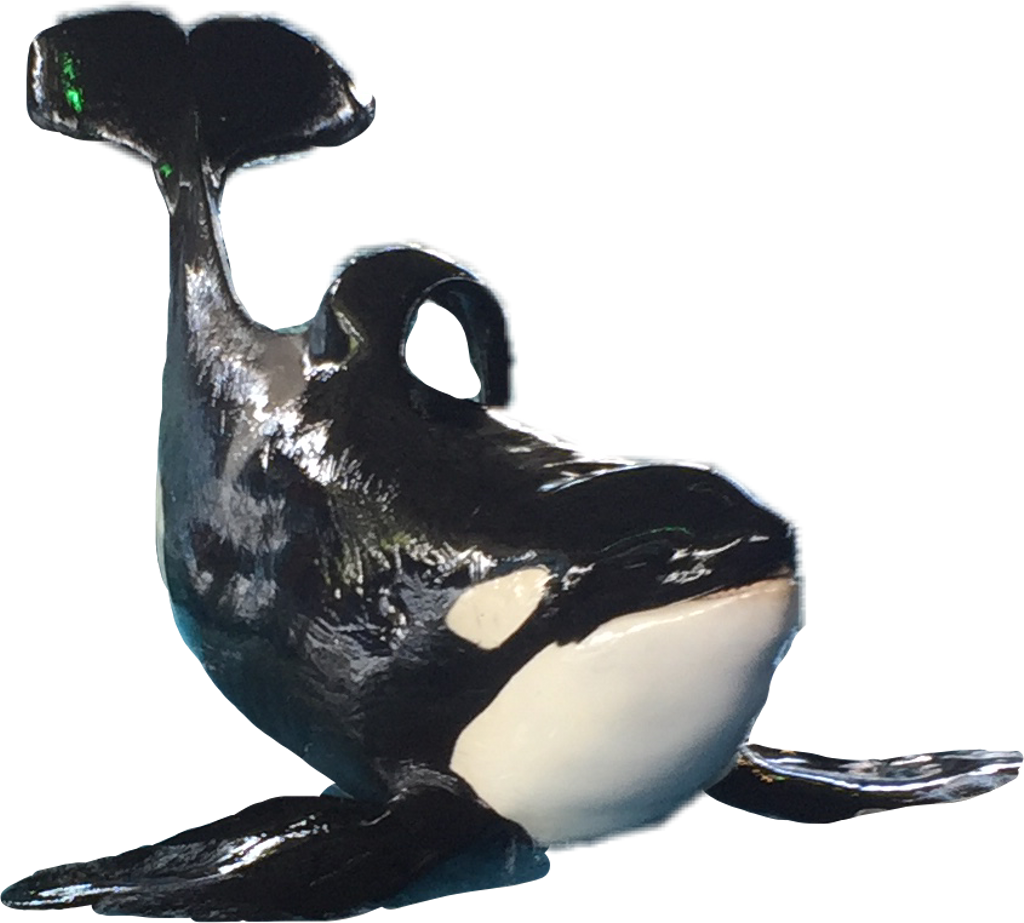 Killerwhale Sticker - Killer Whale (1024x923), Png Download