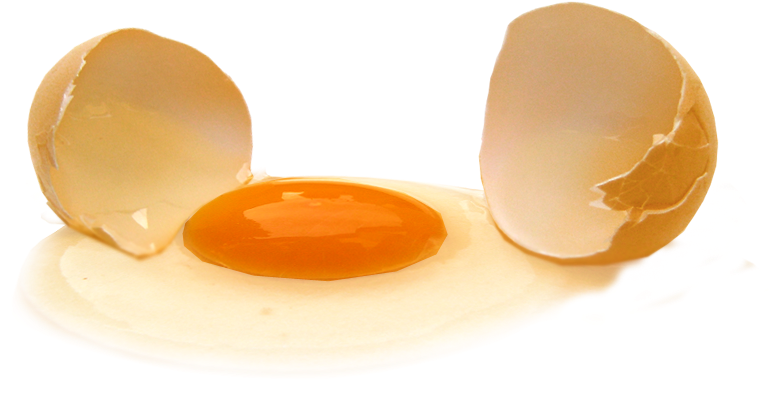 Poiata Bunicii - Cracked Egg (831x454), Png Download