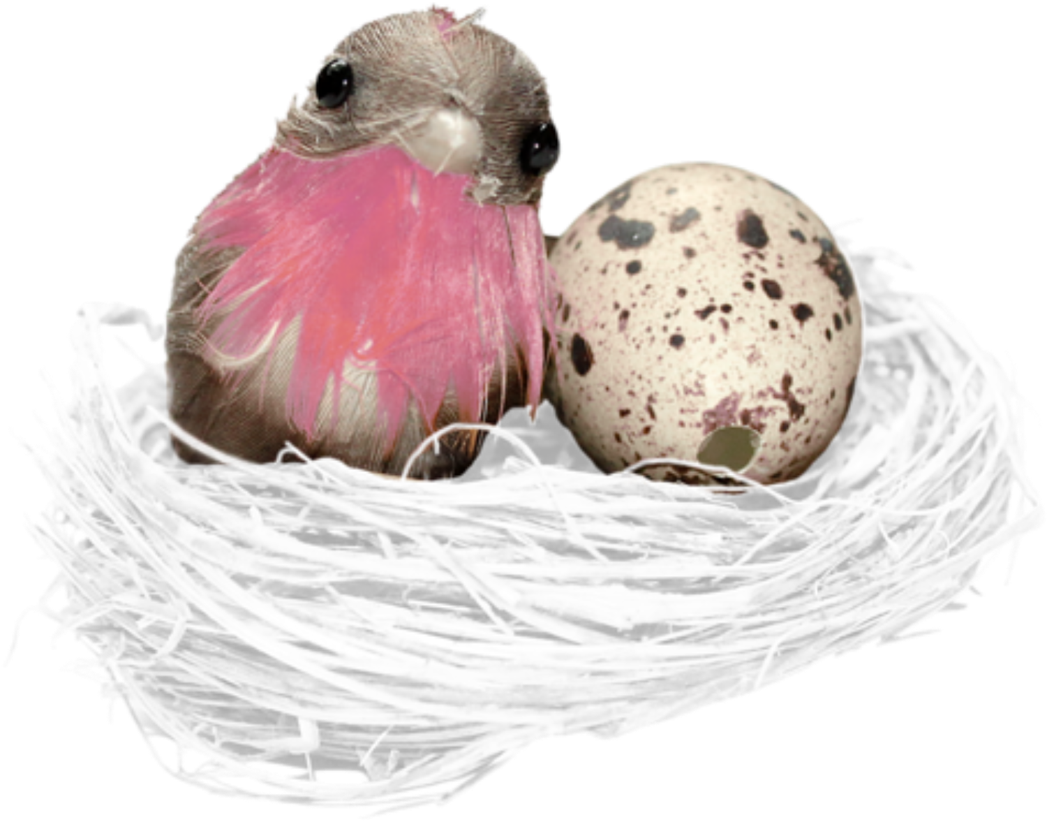 Nest (1899x1402), Png Download