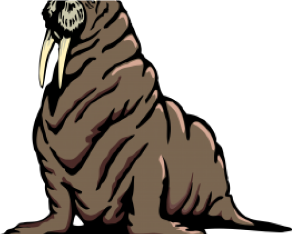Morsa Png (640x480), Png Download