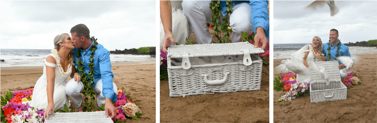 Our Doves Are Hand Raised Homing Birds, Upon Release - Garden Roses (1280x436), Png Download