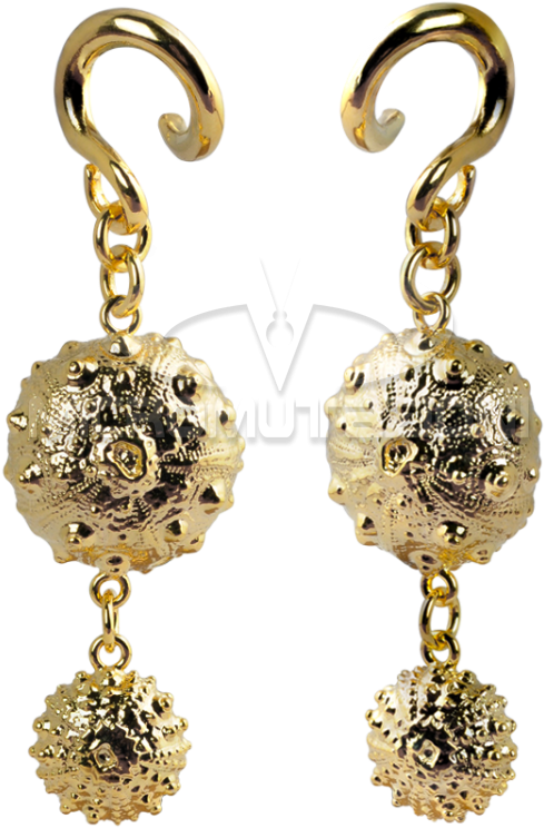 Exoskeleton Sea Urchin Brass Pendant Ear - Earrings (750x750), Png Download