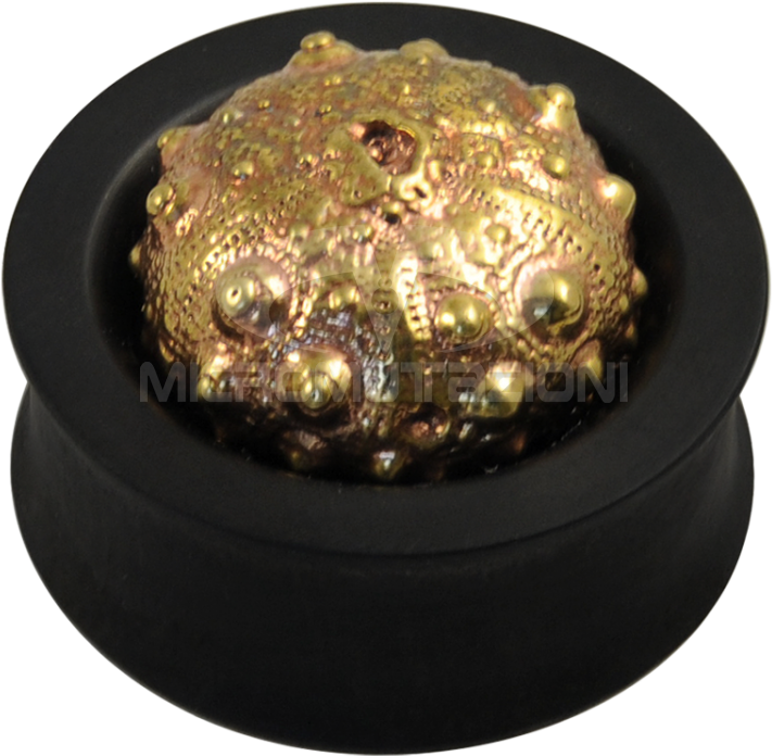 Ebony Plug With Brass Exoskeleton Sea Urchin Ear - Brass (750x750), Png Download