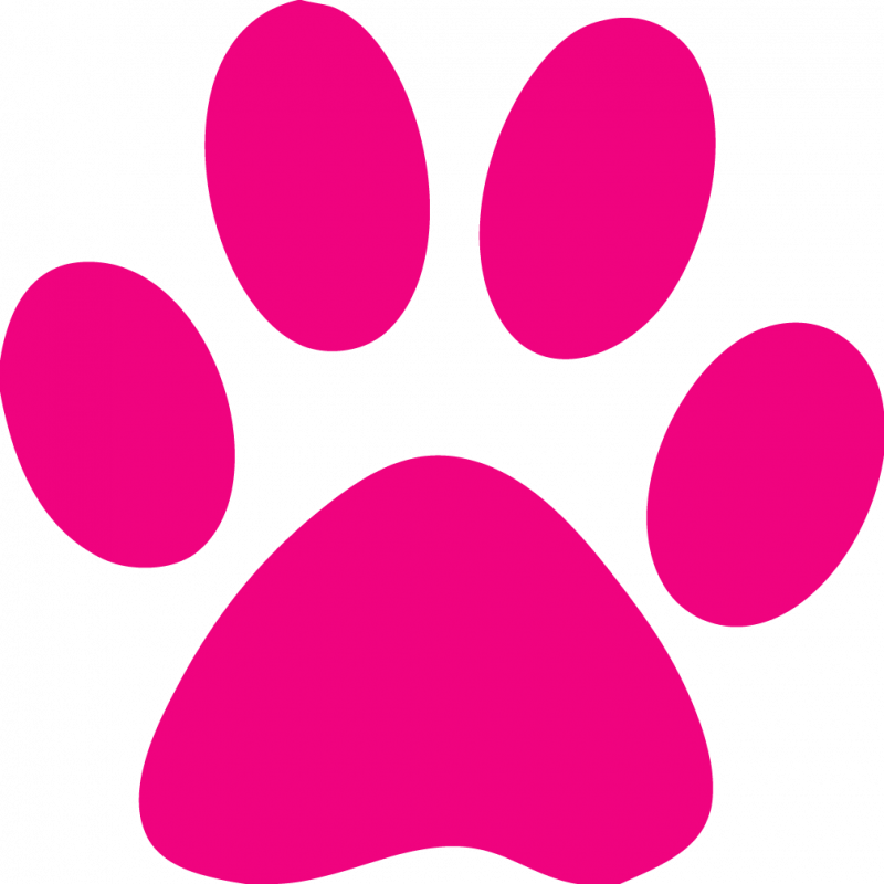 Free Pink Cat Cliparts, Download Free Clip Art, Free - Pink Paw Print Clip Art (800x800), Png Download