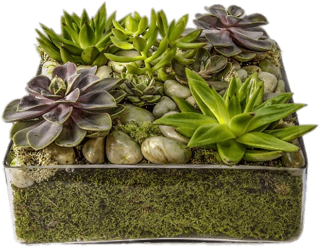 Download - Flowerpot (600x600), Png Download