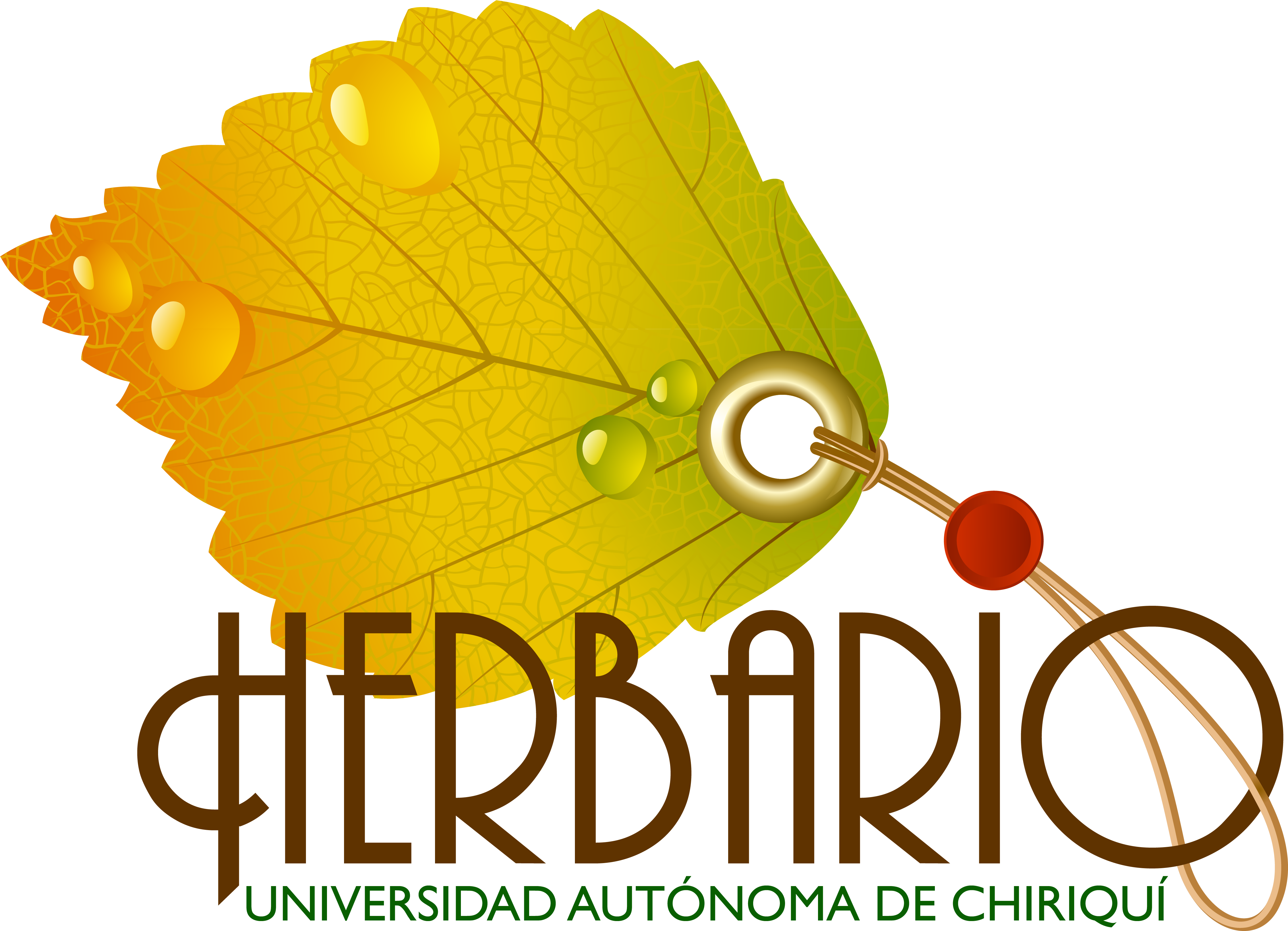 Gaspar Silvera, Panama, Rep - Fondo De Un Herbario (4529x3287), Png Download