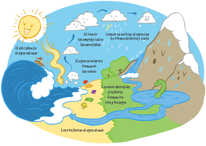 Infografia Del Ciclo Del Agua (700x483), Png Download