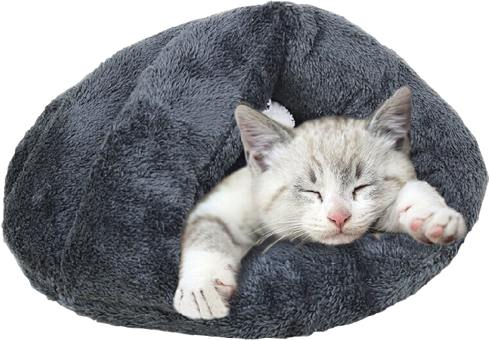 Deluxe Sleeping Toy Cave Bed For Cats Or Puppy - Cat Grabs Treat (750x750), Png Download