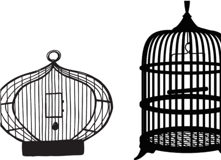 Free Png Download Bird Cage Transparent Background - Bird Cage Transparent Background (850x617), Png Download