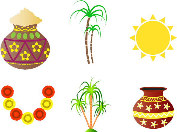 Pongal Sugar Cane Png - Pongal Png (700x490), Png Download