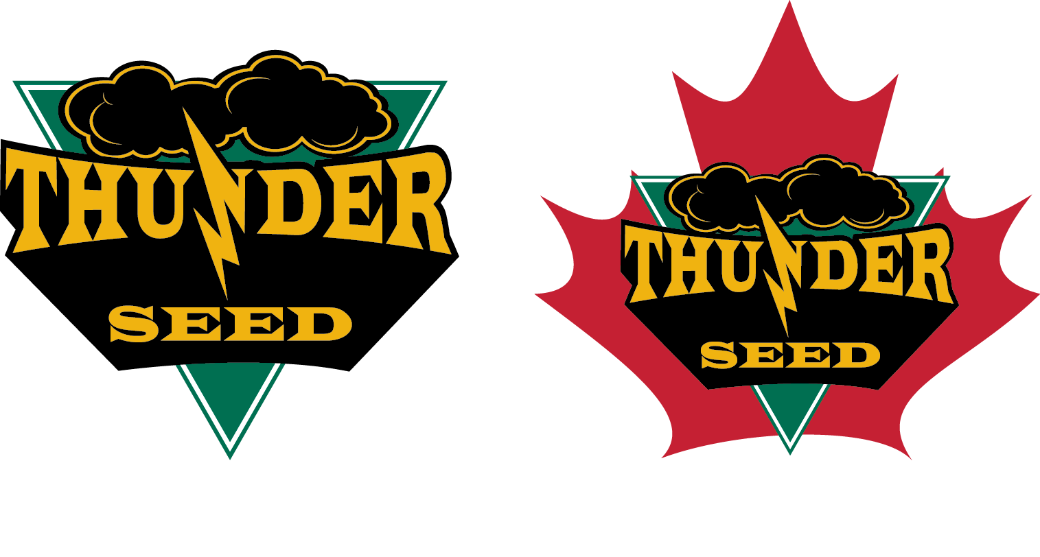 Thunder Seed (1515x812), Png Download