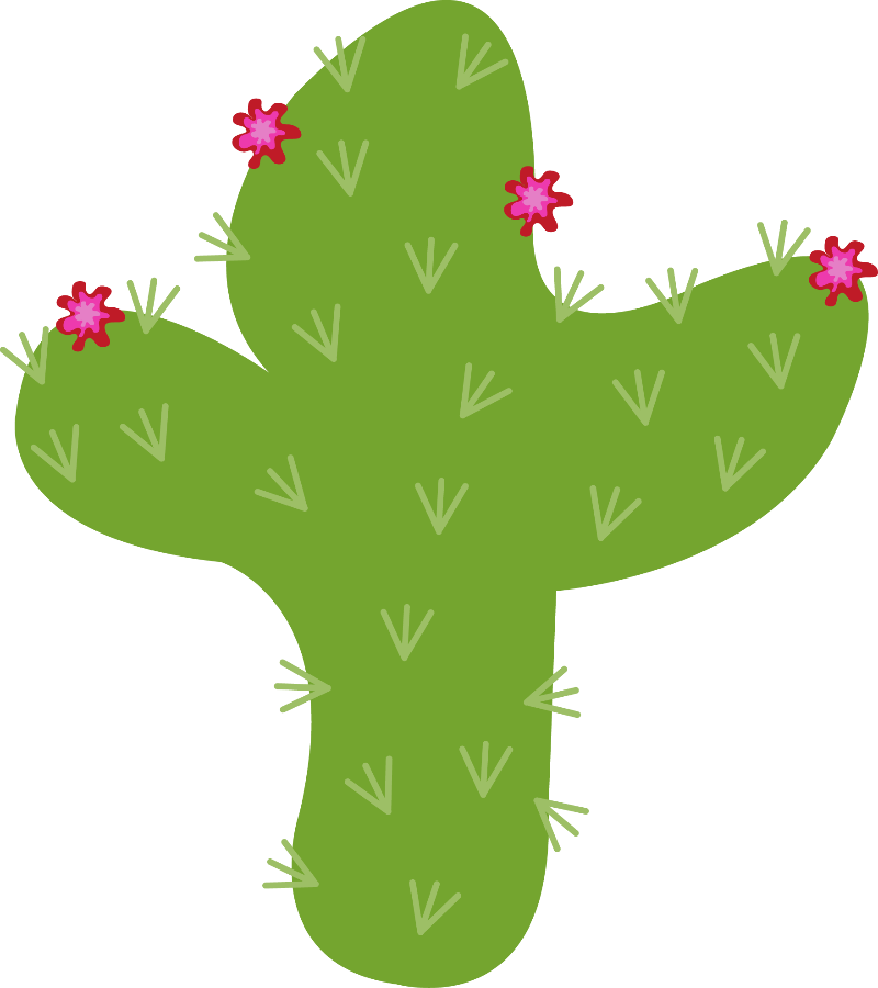 Cowboy E Cowgirl Minus Already Felt Flowers - Cactus Minus (800x900), Png Download