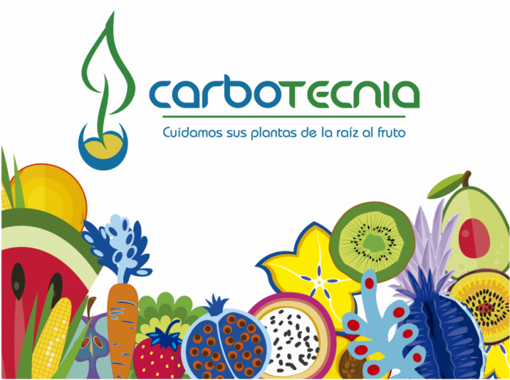 Carbotecnia Logo (1024x587), Png Download