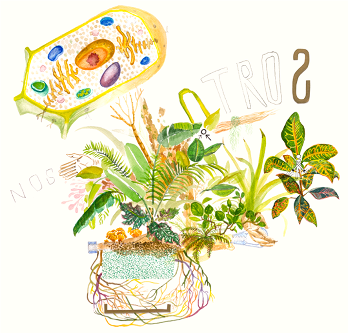 1 - Illustration (1024x683), Png Download