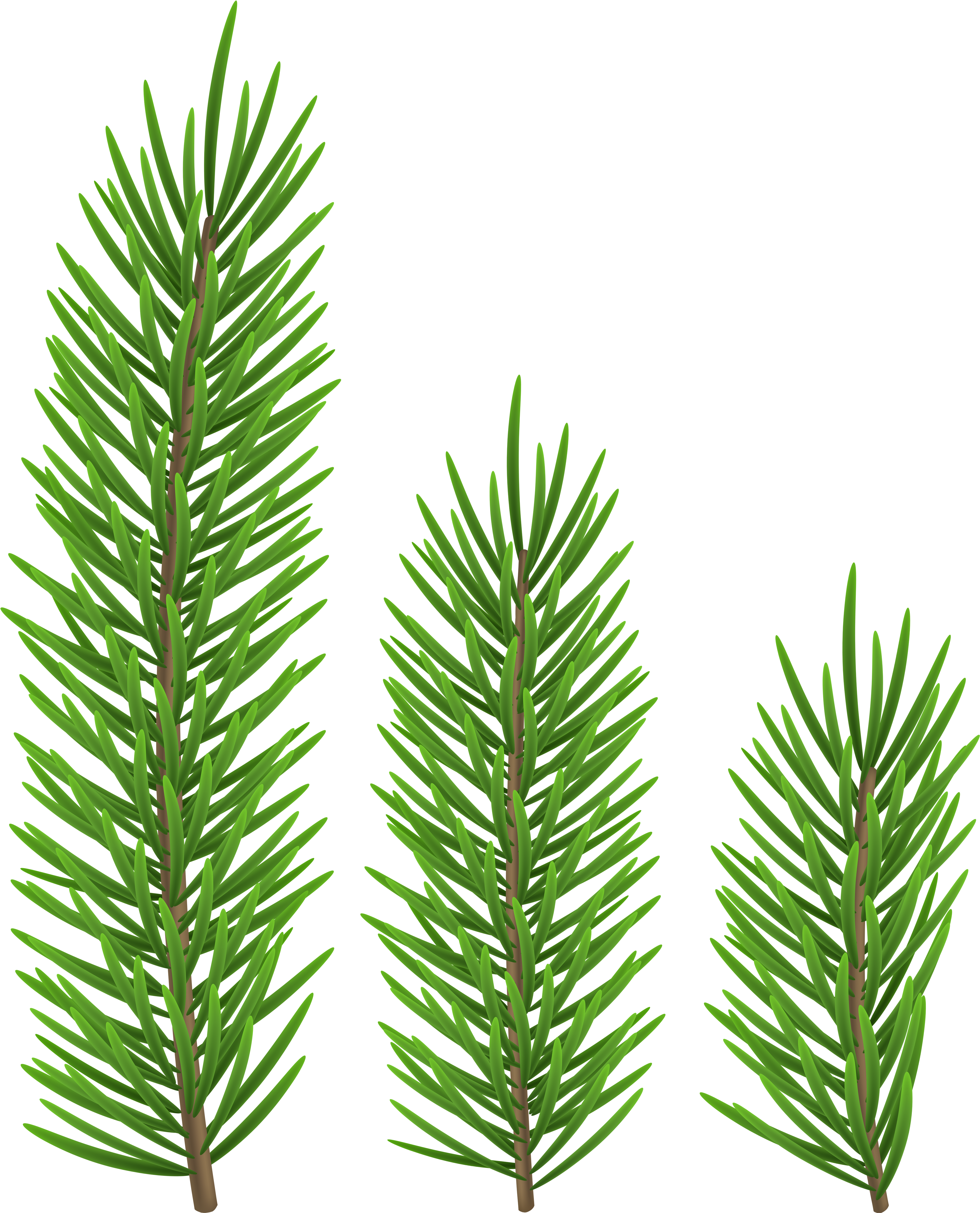 Clip Art (4051x5000), Png Download