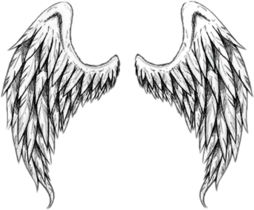 بال Sticker - Tattoo Stencils Angel Wings (1024x1024), Png Download