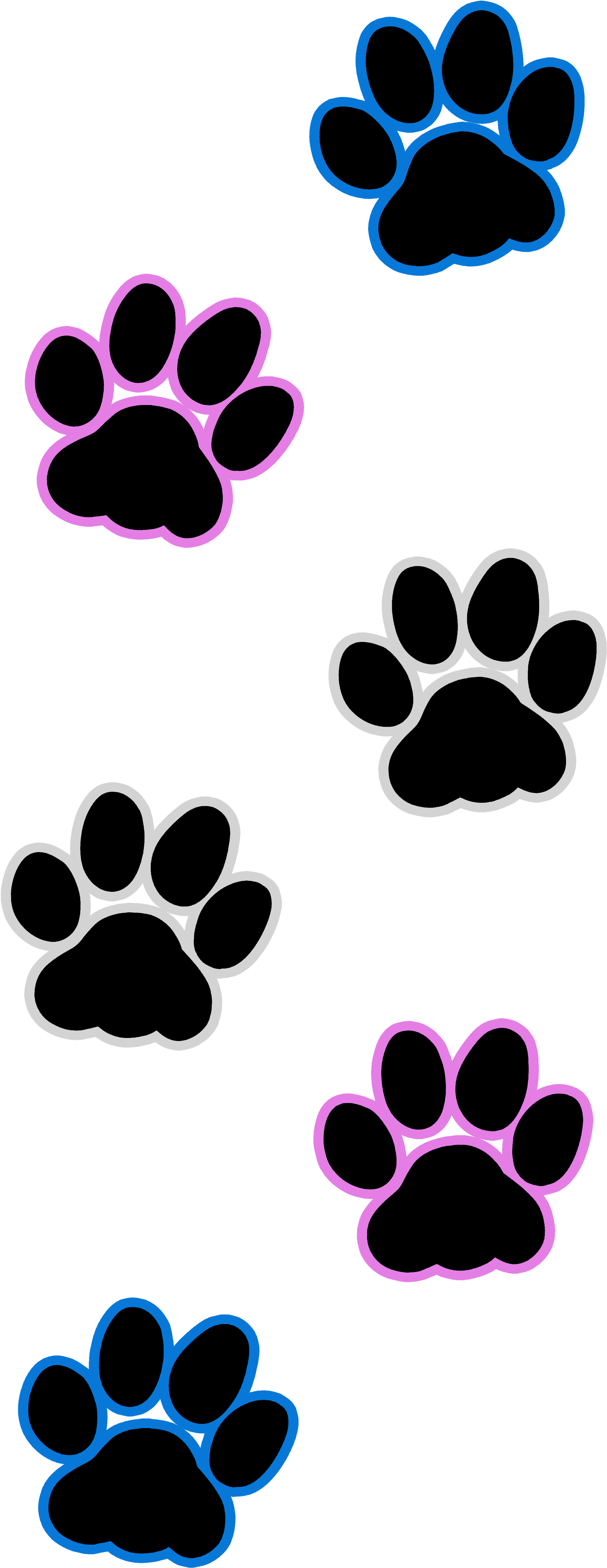 Cat Paw Print Transexual Artworktee Ⓒ - Rainbow Paw Prints Transparent (3600x4800), Png Download