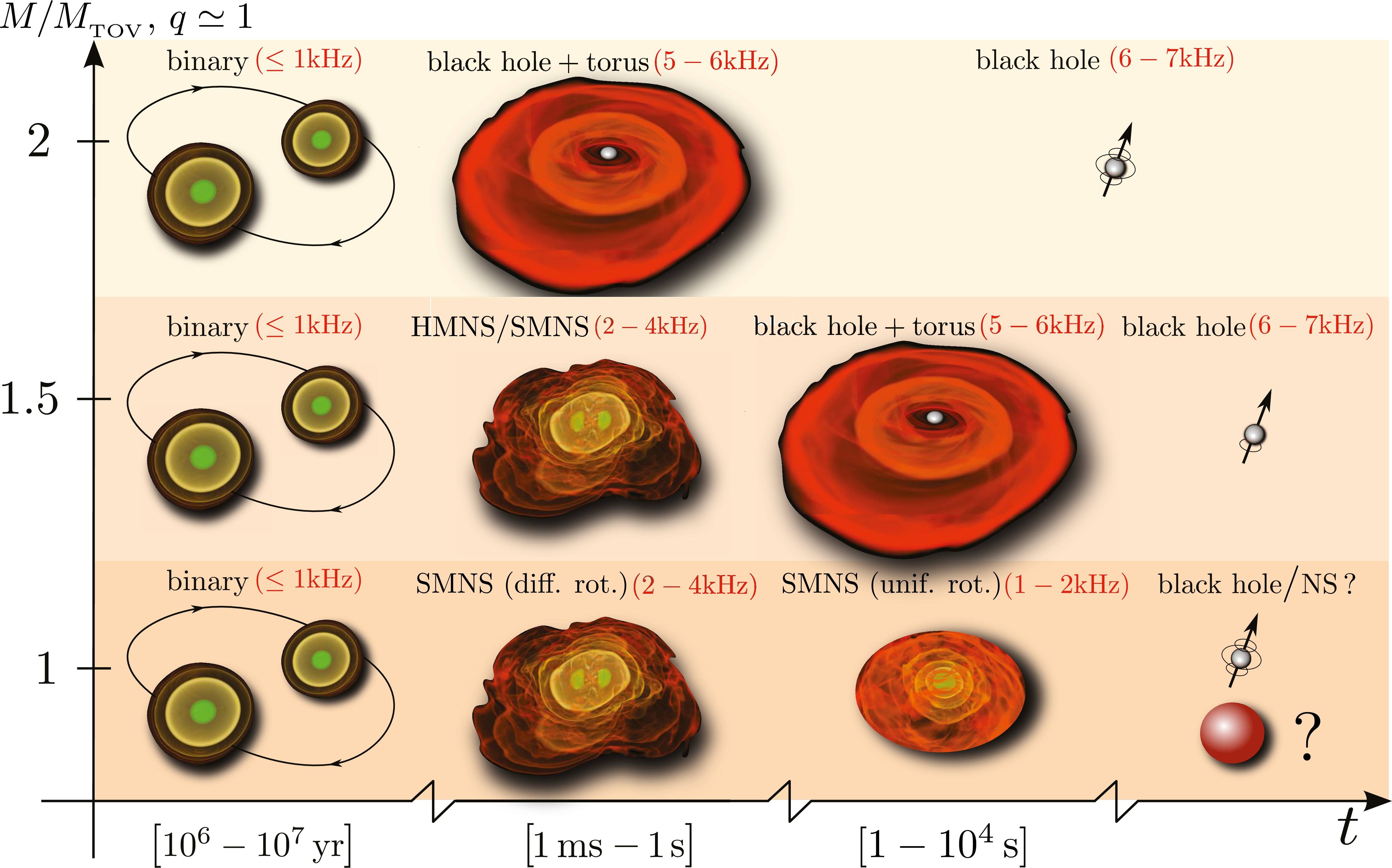 Schematic Diagram Illustrating The Various Stages In - Binary Neutron Star Merger (5043x3146), Png Download