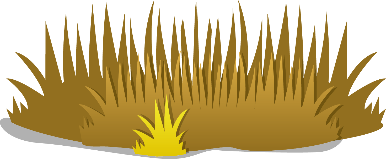 Dry Clipart Group - Dry Grass Clipart (1472x607), Png Download