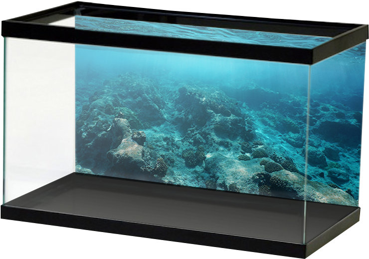 Aquariumvinyl (800x800), Png Download