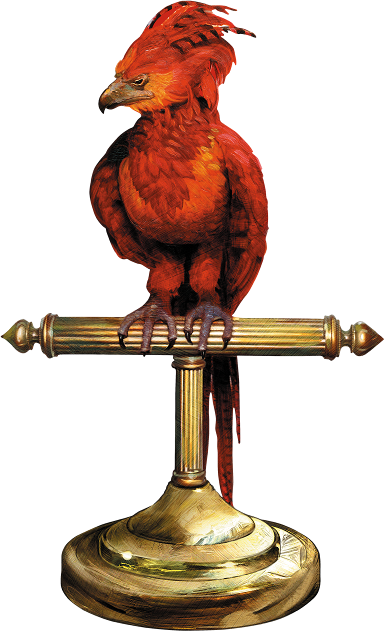 Image Fawkes Perch Png (800x1290), Png Download