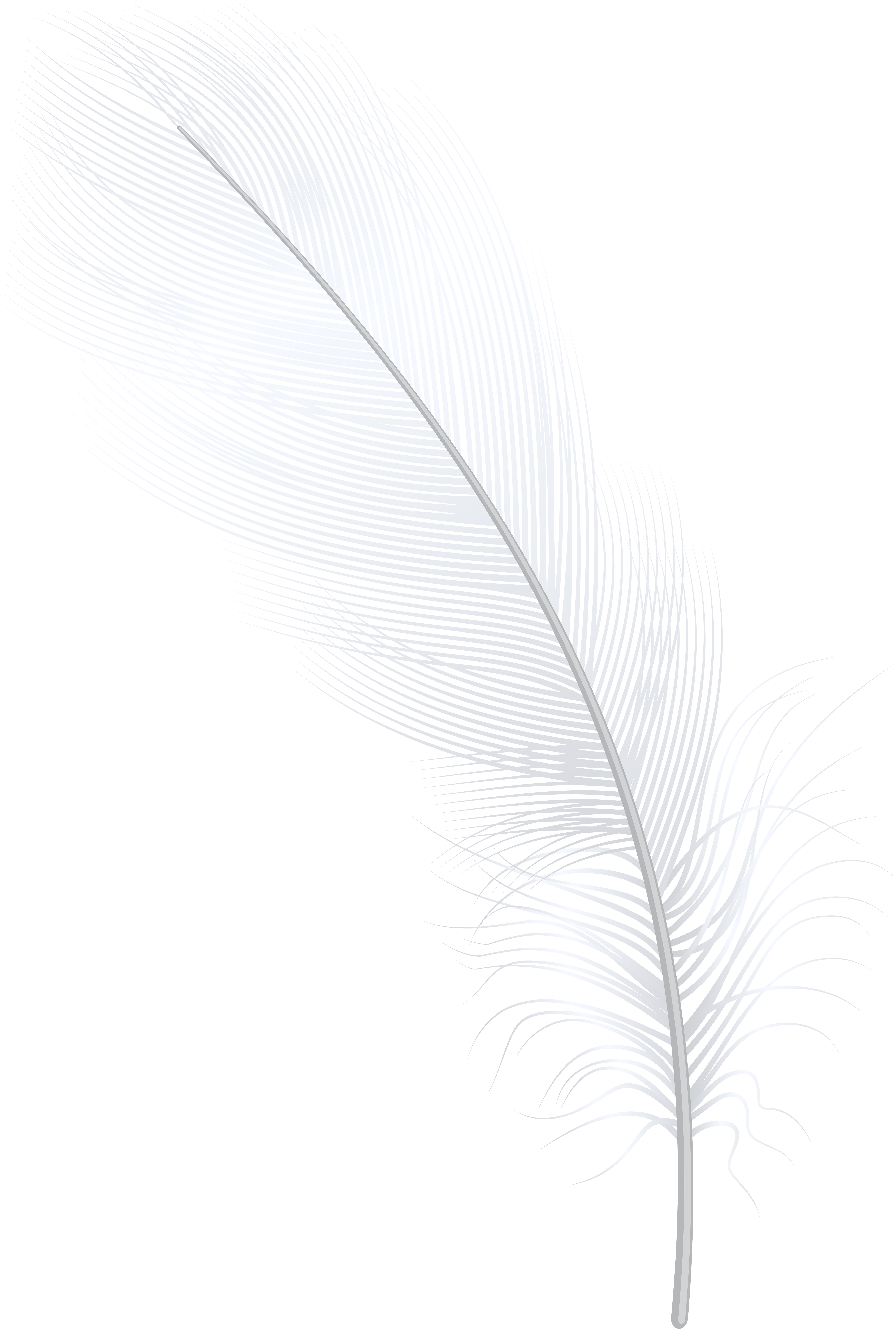 Feather White Png Clip Art - Darkness (5392x8000), Png Download