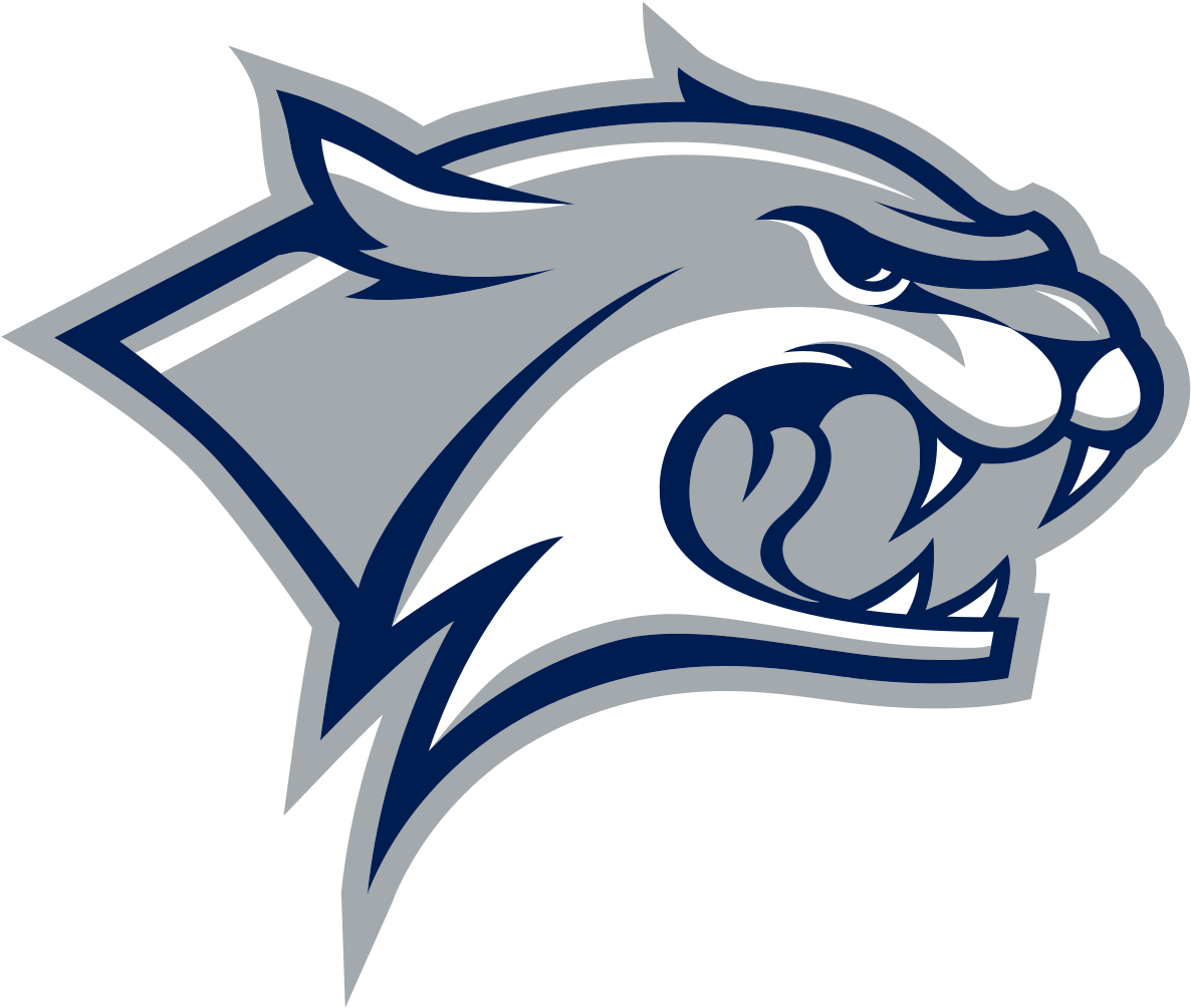 Sizing Up The Wildcats - New Hampshire Wildcats (1200x1016), Png Download