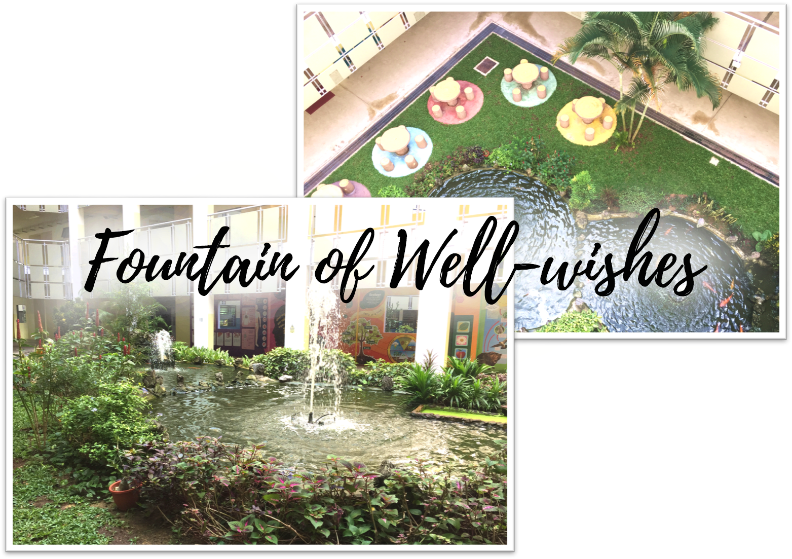 Backyard (1563x1103), Png Download