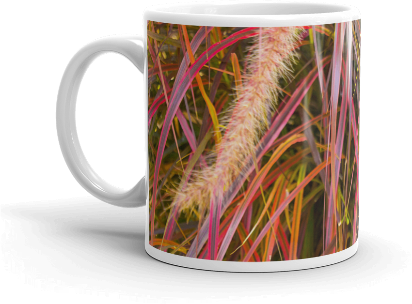 Lankershim Village Fountain Grass Mug By Calvin Roy - Beer Stein (1000x1000), Png Download