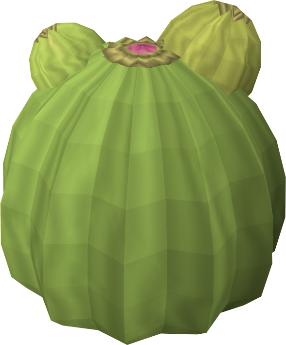 Cactus - Miniskirt (588x708), Png Download
