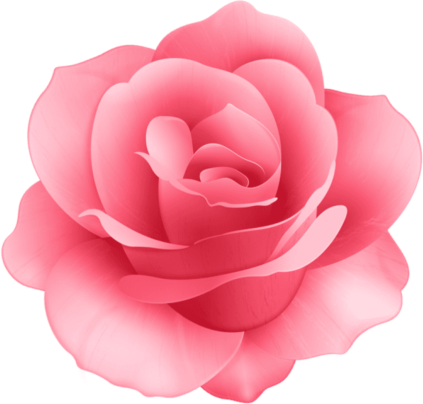 Free Png Download Rose Flower Png Images Background - Pink Rose Flower Clip Art (850x819), Png Download