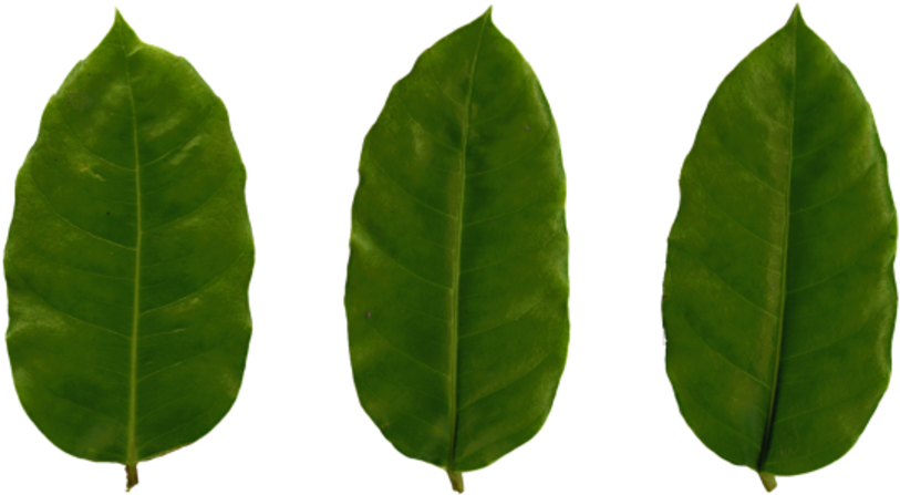 Plastic Texture Png (900x450), Png Download