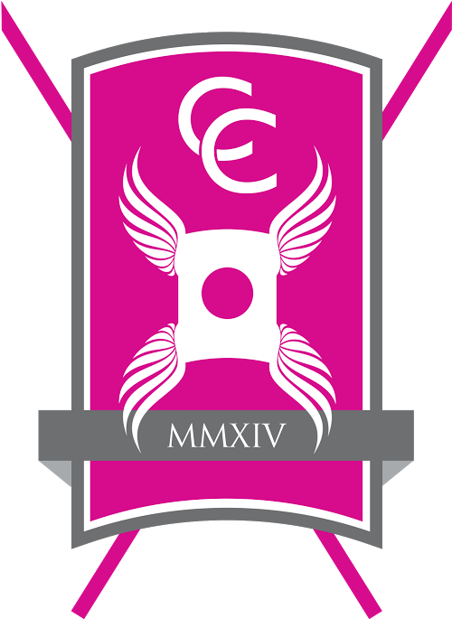 University Of York College Logos (656x794), Png Download