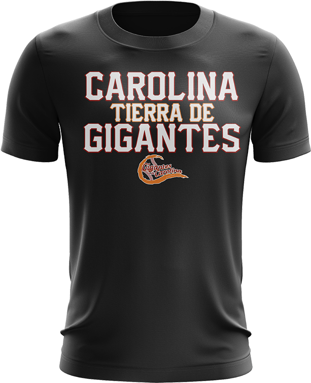 Carolina Tierra De Gigantes T Shirt - Stonehenge Rocks T Shirt (800x800), Png Download