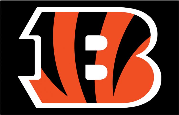 Cincinnati Bengals Iron On Stickers And Peel-off Decals - Seize The Day Bengals (750x930), Png Download