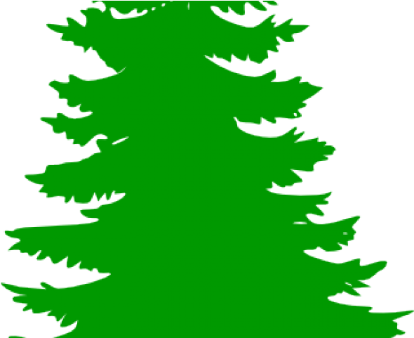 Christmas Trees Png Black (640x480), Png Download