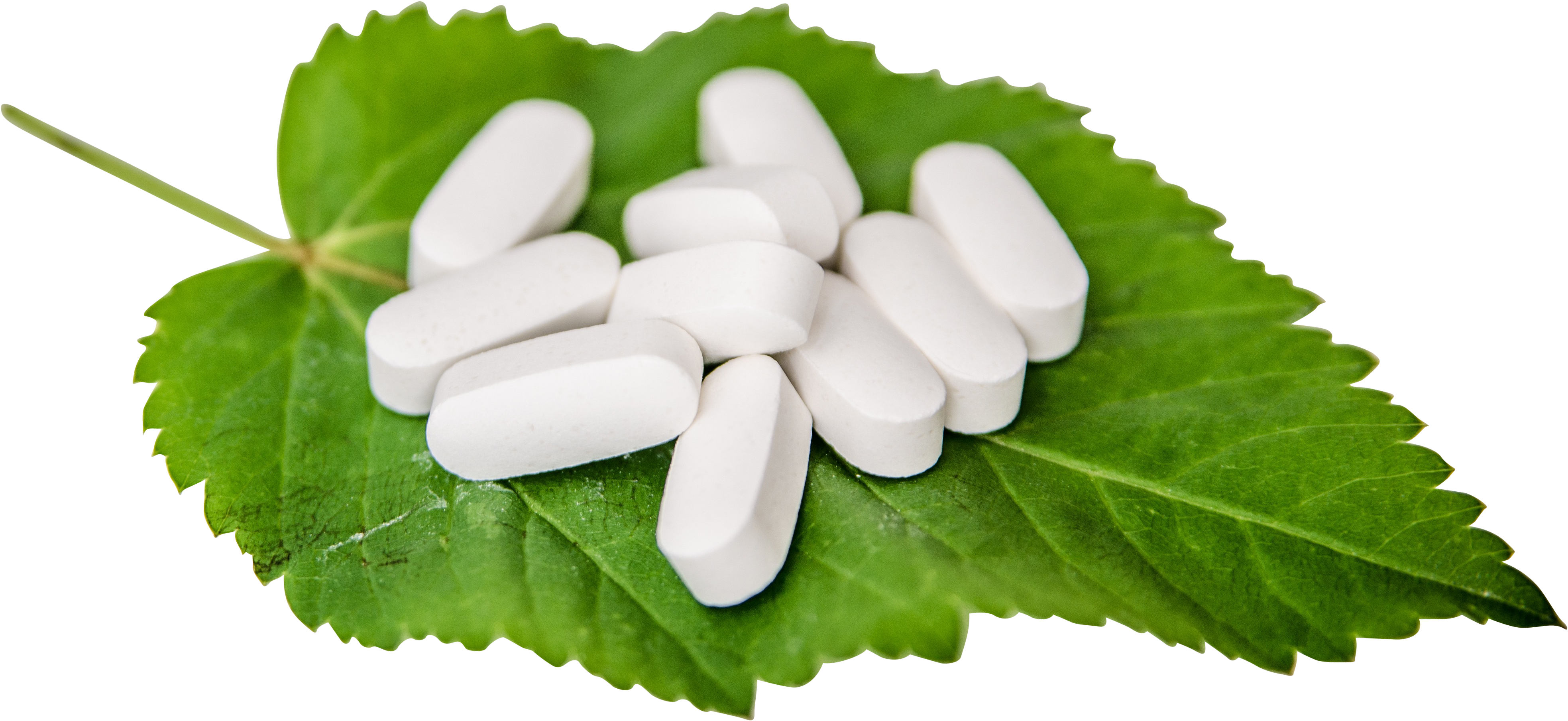 White Pills On A Leaf Png Image - L Cysteine Market Research (4928x3264), Png Download