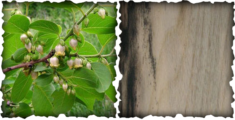 Wood Properties Picture - Makan Untuk Kesihatan Resipi Kehidupan Sihat (784x400), Png Download