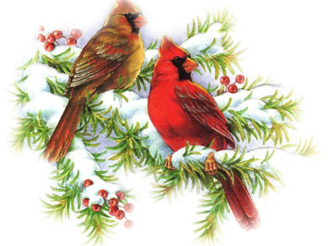 Cardinal Clipart Christmas - Png Christmas Cardinal (640x480), Png Download