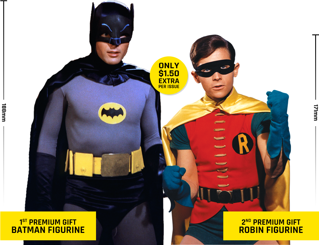 Premium Image - Robin Holy (1106x832), Png Download