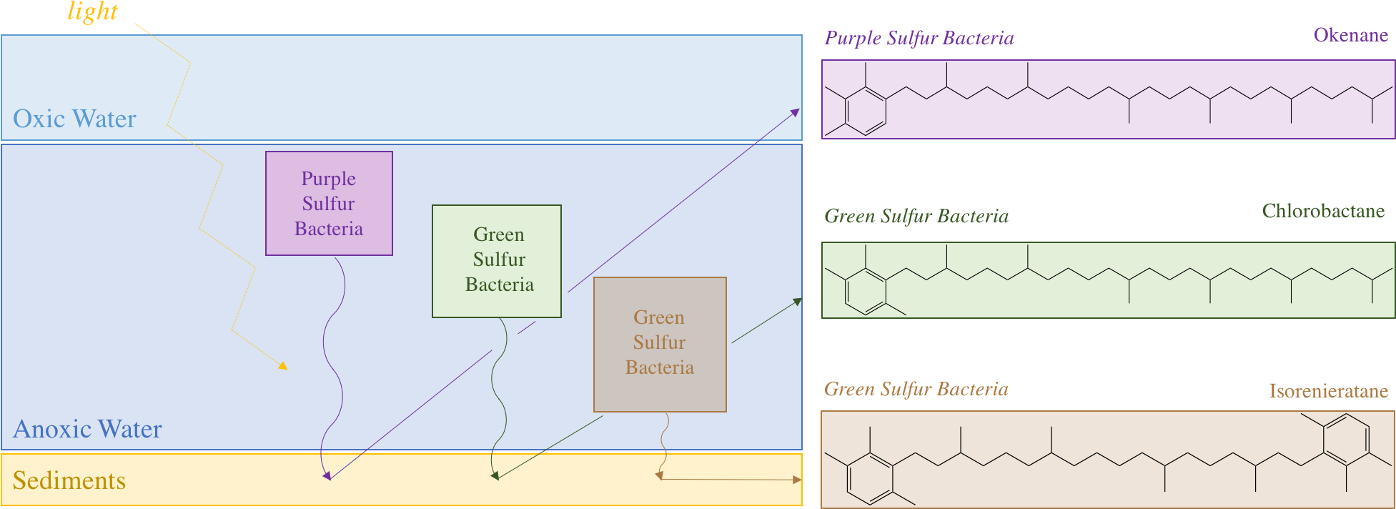 Purple And Green Sulfur Bacteria And Their Biomarkers - Diagram (1967x738), Png Download