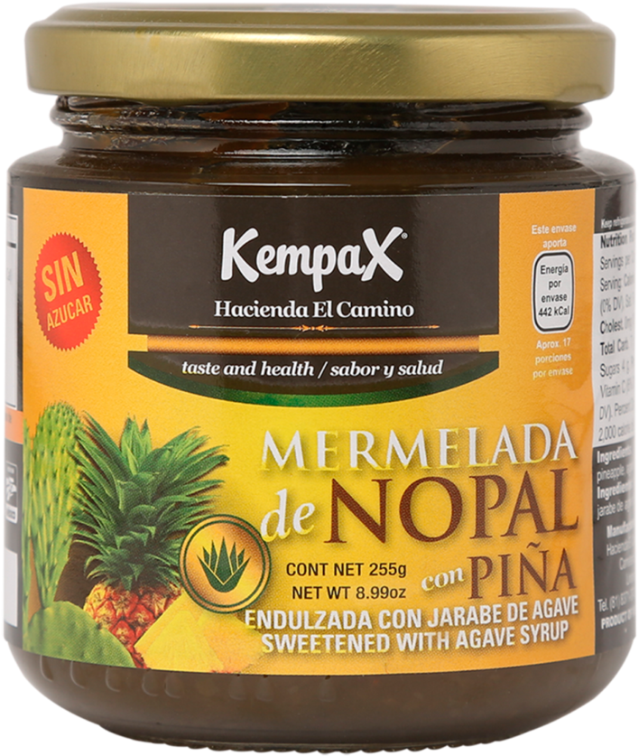 Nopal Jam - Saw Palmetto (1000x1000), Png Download